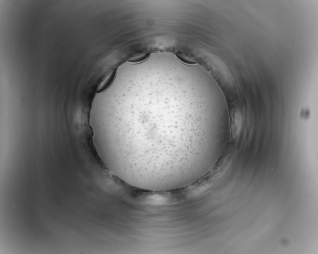 X0000102380236200808151904