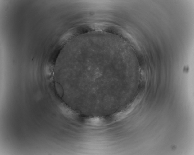 X0000102380237200808151904