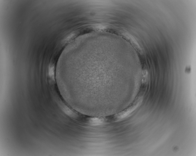 X0000102380238200808151904