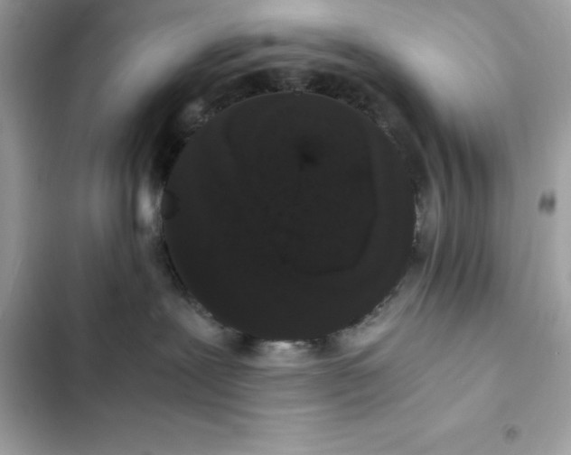 X0000102380239200808151904