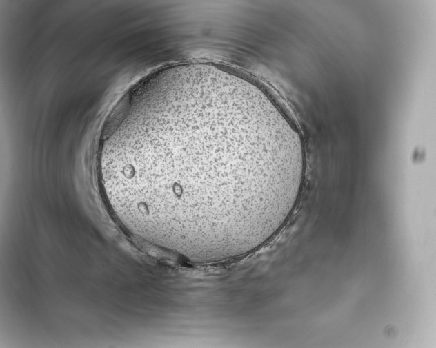 X0000102380241200808151903