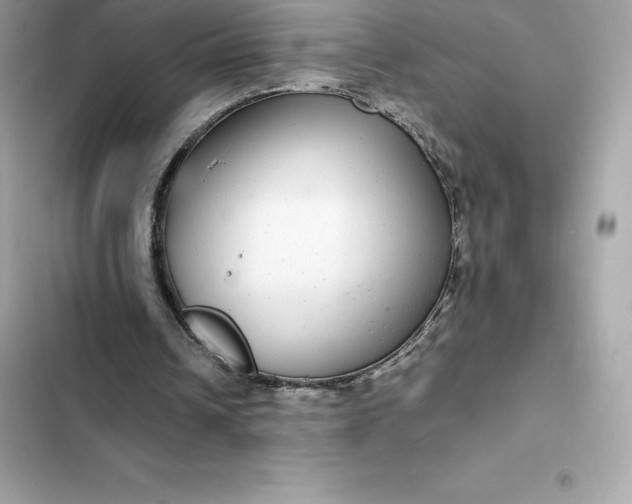 X0000102380242200808151904