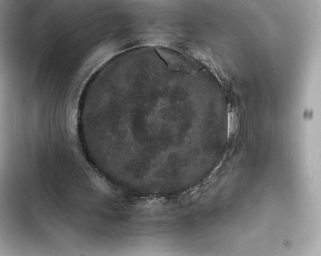 X0000102380243200808151904