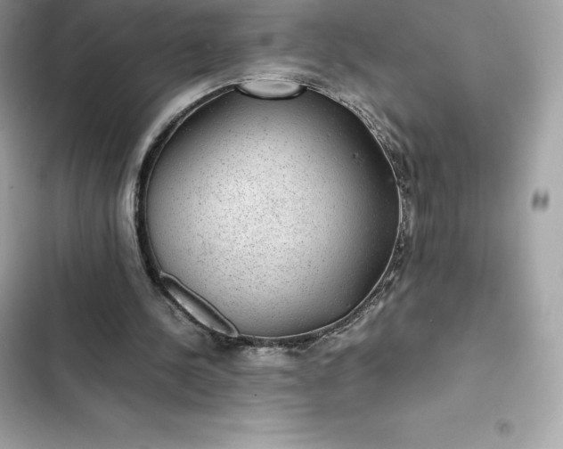 X0000102380244200808151904