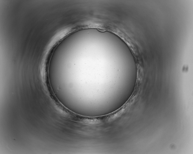 X0000102380245200808151904