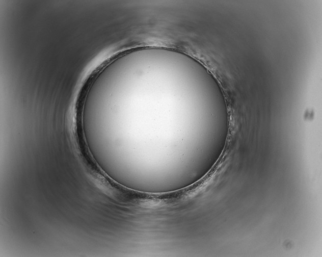 X0000102380246200808151904