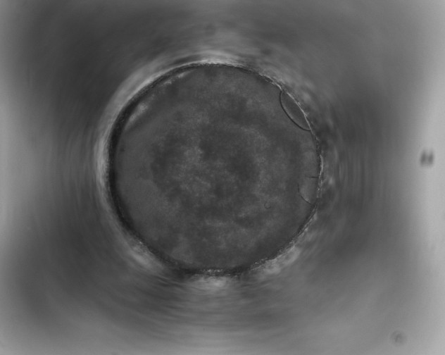 X0000102380247200808151904