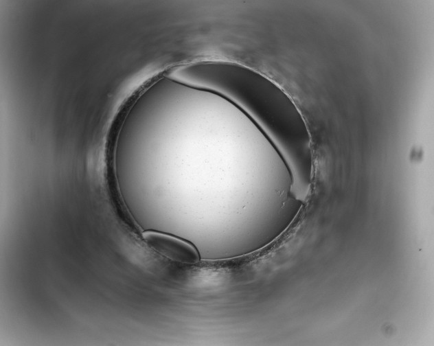 X0000102380248200808151904