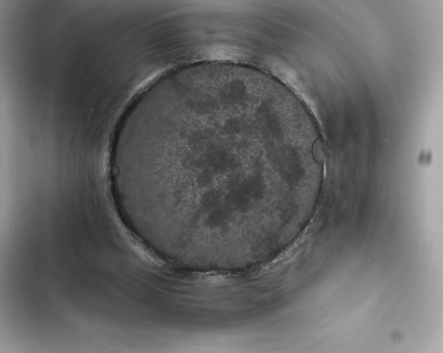 X0000102380249200808151904