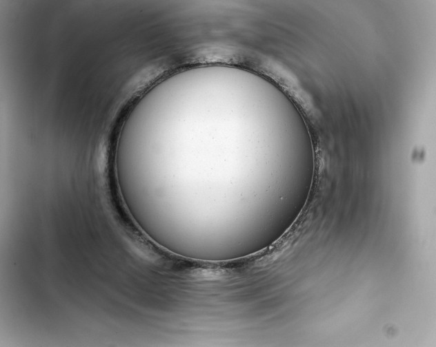 X0000102380250200808151904