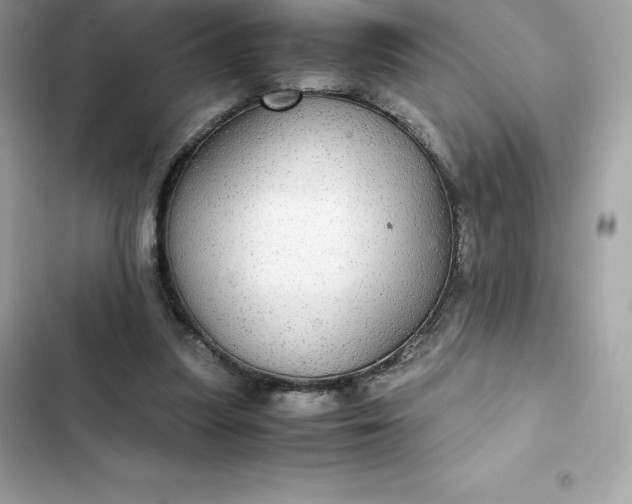 X0000102380251200808151904