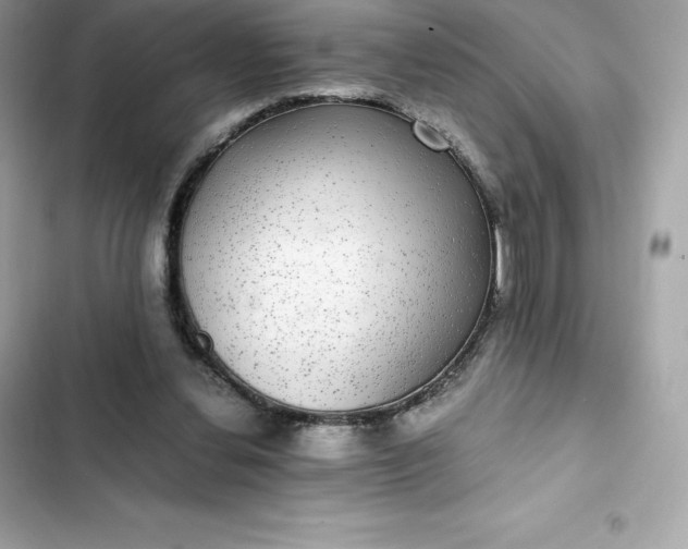 X0000102380252200808151904