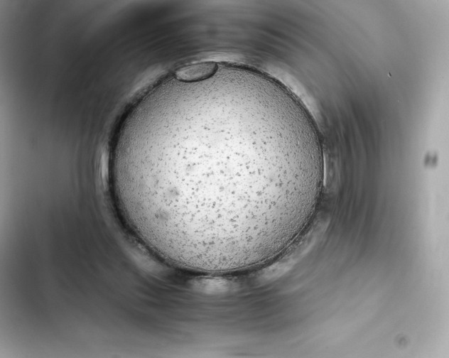 X0000102380253200808151904