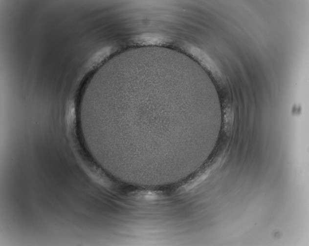 X0000102380254200808151904