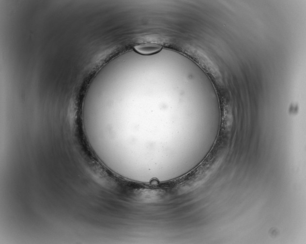 X0000102380255200808151904