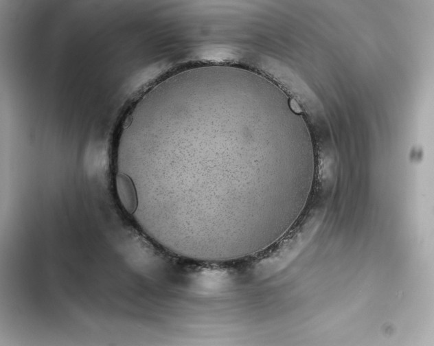 X0000102380256200808151904