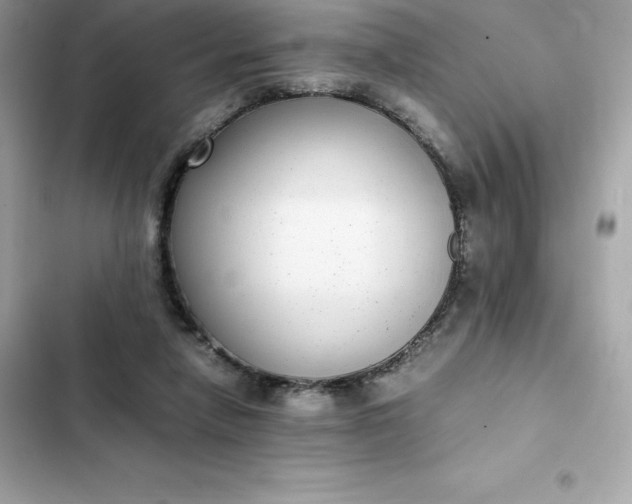 X0000102380258200808151904