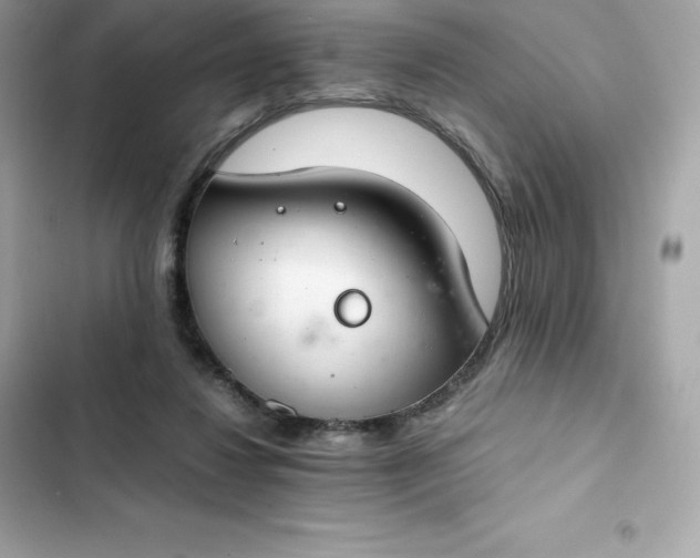 X0000102380260200808151904