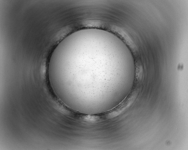 X0000102380261200808151904