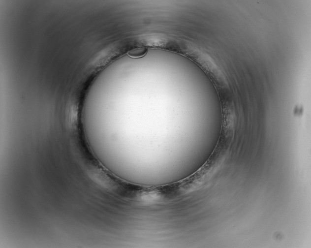 X0000102380262200808151904