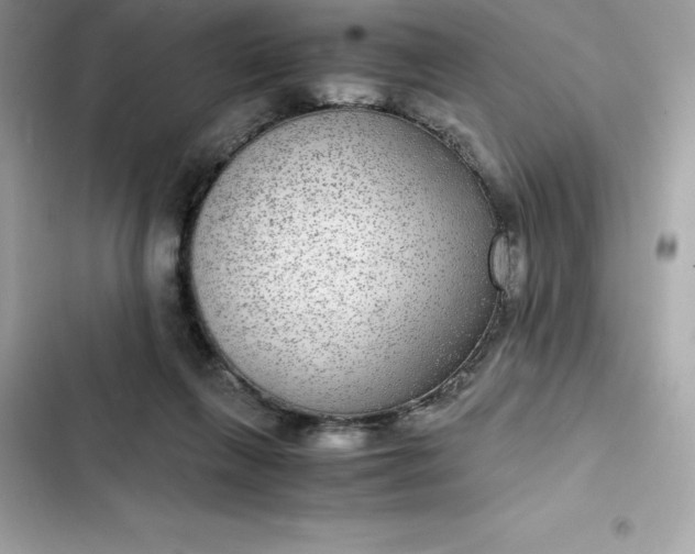 X0000102380263200808151904