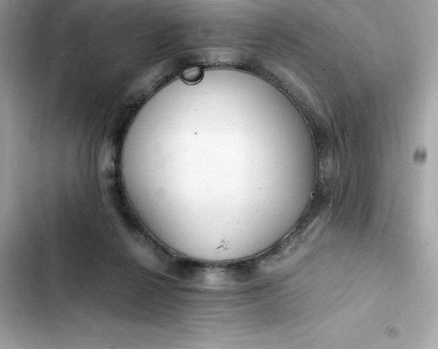 X0000102380264200808151904