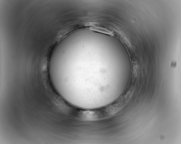 X0000102380265200808151904