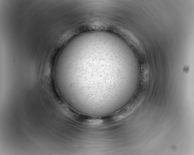 X0000102380266200808151904