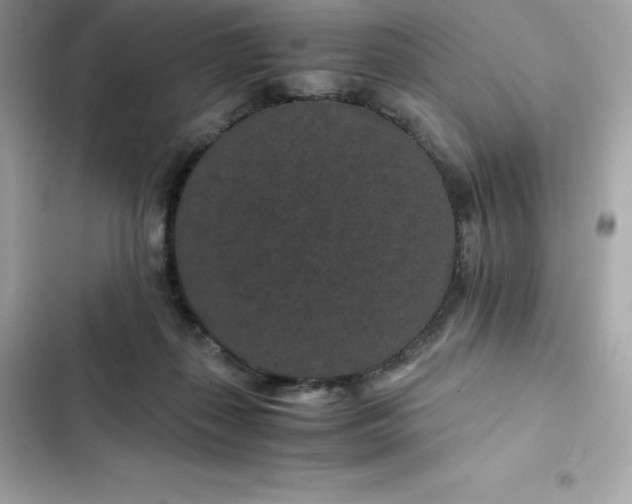 X0000102380267200808151904