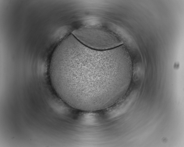 X0000102380268200808151904