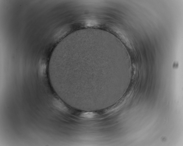 X0000102380269200808151904