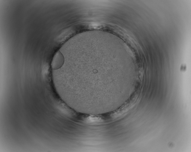 X0000102380270200808151904