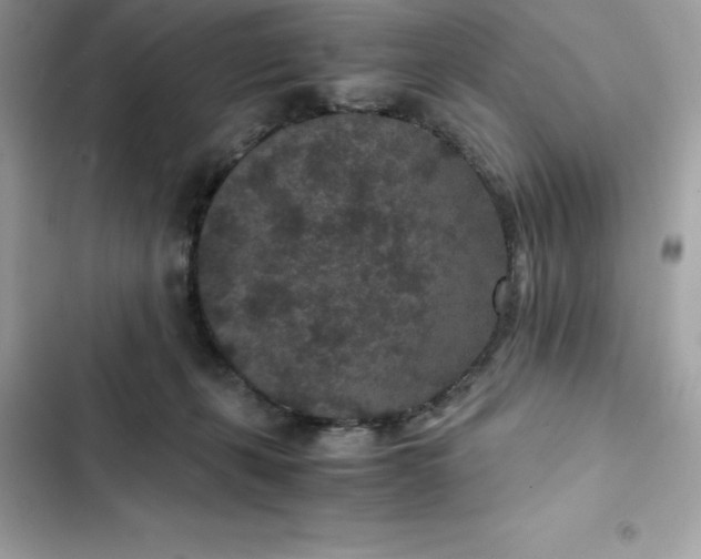 X0000102380271200808151904