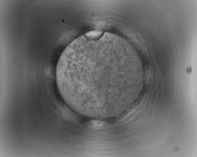 X0000102380272200808151904