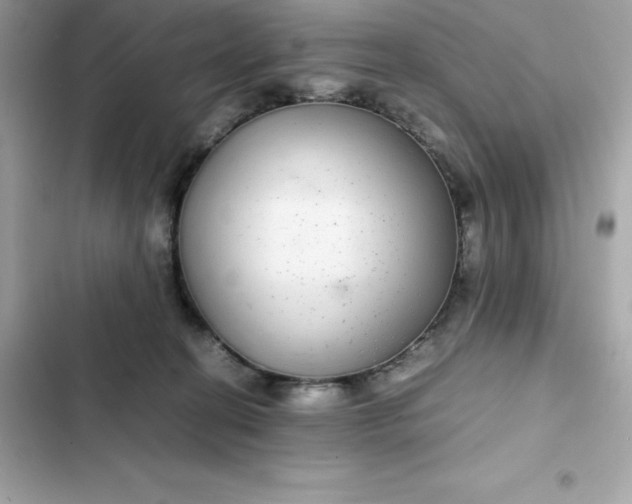 X0000102380274200808151904