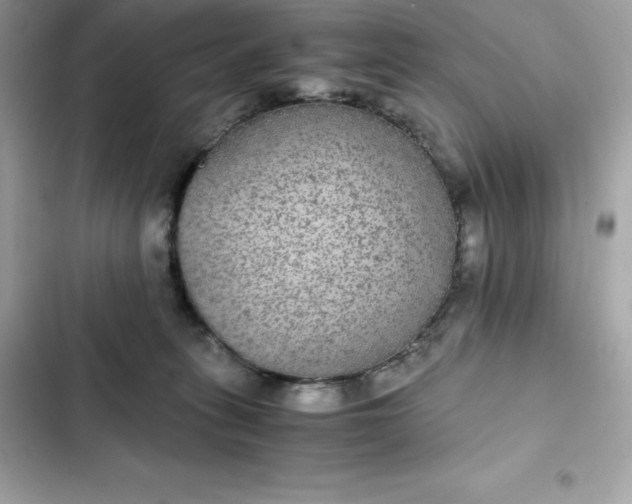 X0000102380275200808151904