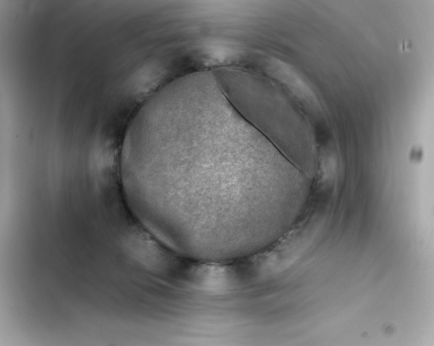 X0000102380276200808151904