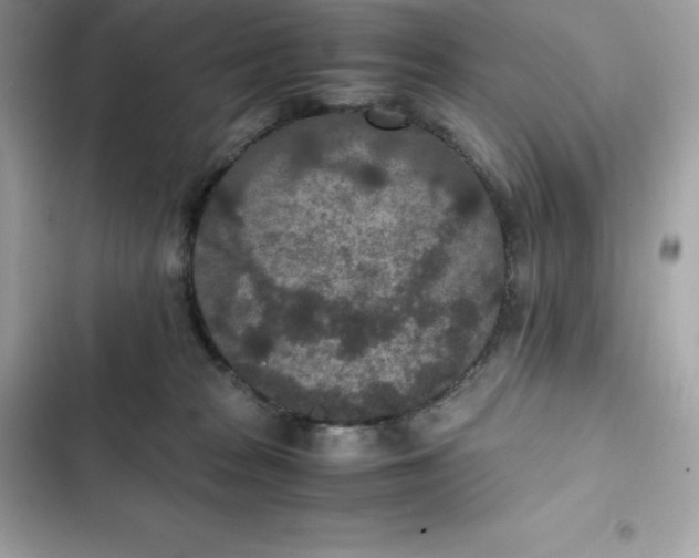 X0000102380277200808151904