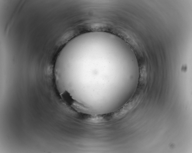 X0000102380278200808151904