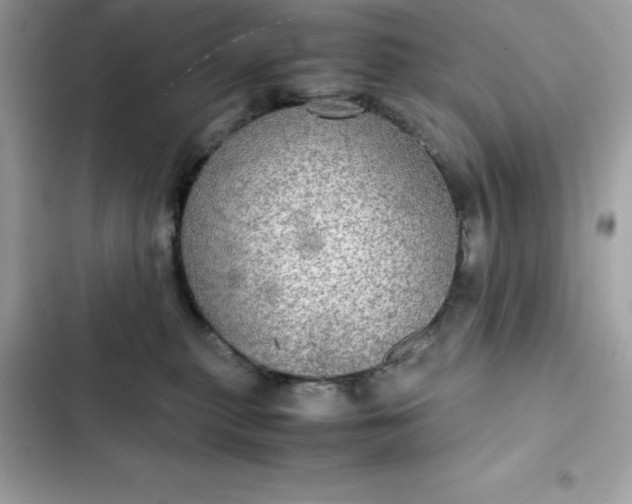 X0000102380279200808151904