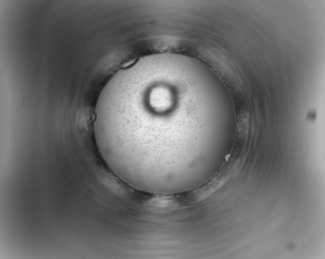 X0000102380280200808151904