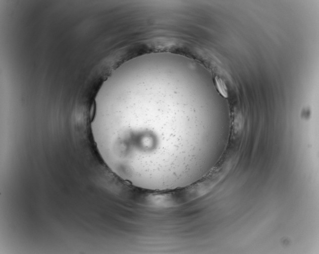 X0000102380283200808151904