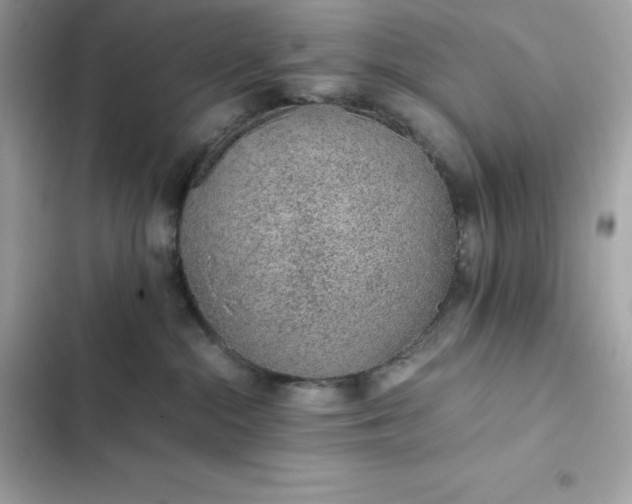 X0000102380284200808151904