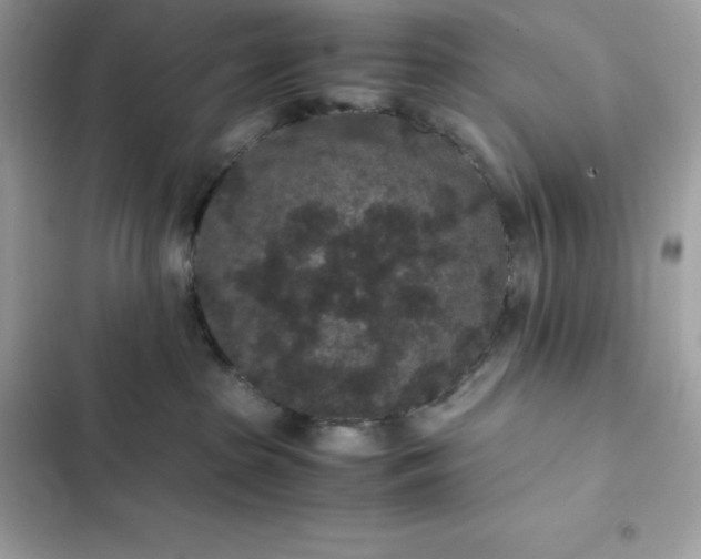 X0000102380285200808151904