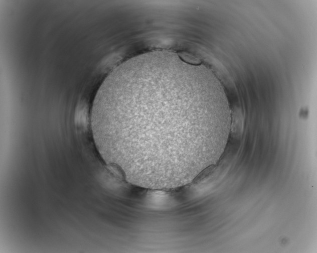 X0000102380287200808151904