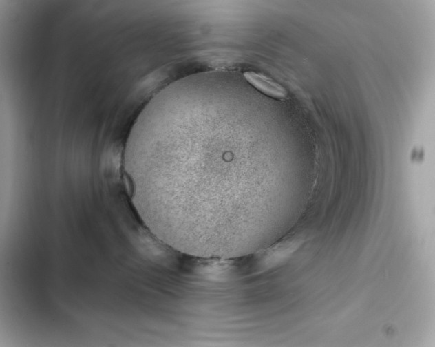 X0000102380288200808151904