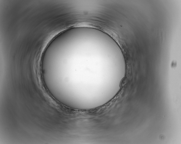 X0000102380289200808151903