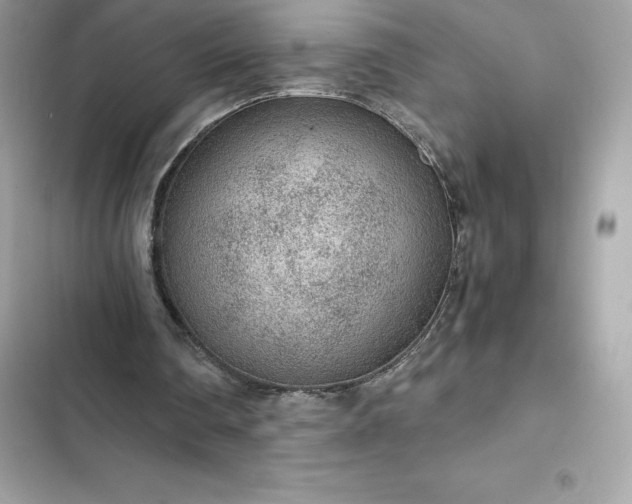 X0000102380290200808151903