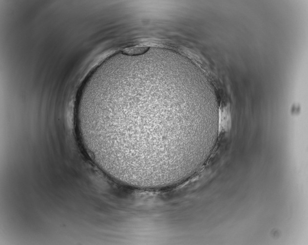 X0000102380291200808151903