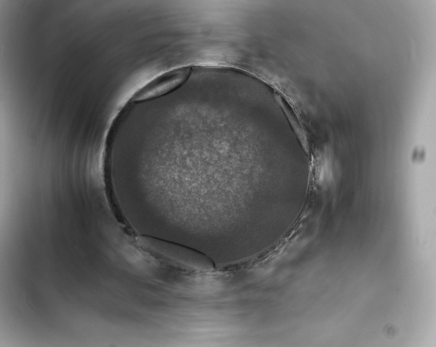 X0000102380292200808151903